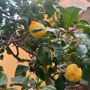 https://appartamento-vicino-al-mare-moneglia.hotelitalianriviera.com